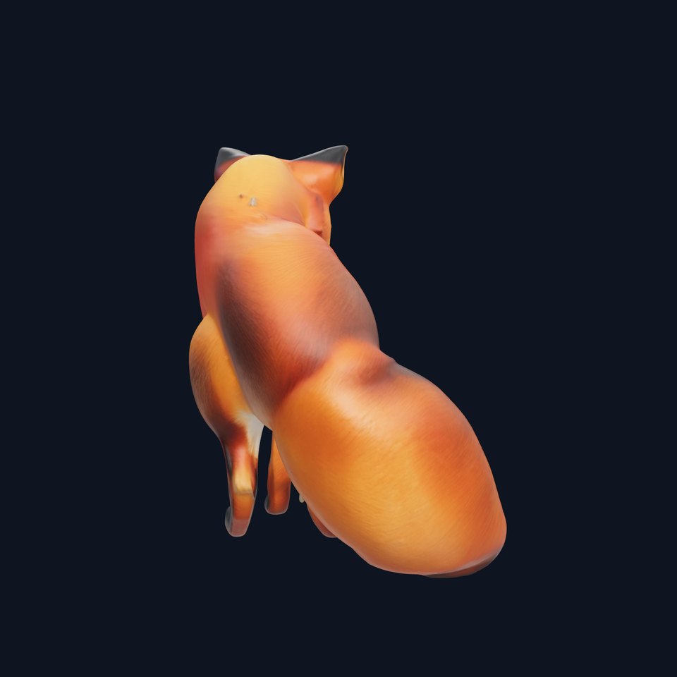 Fox Model Pack  High Detail D Animal Model Collection